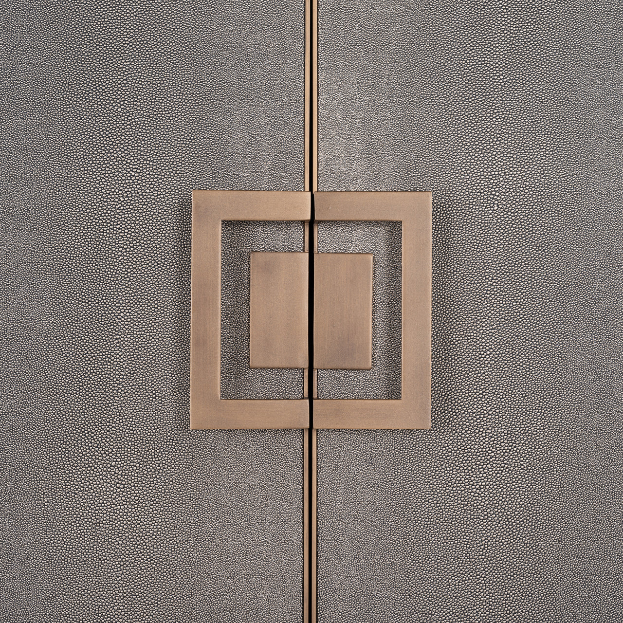 Luxury shagreen and brass storage bar