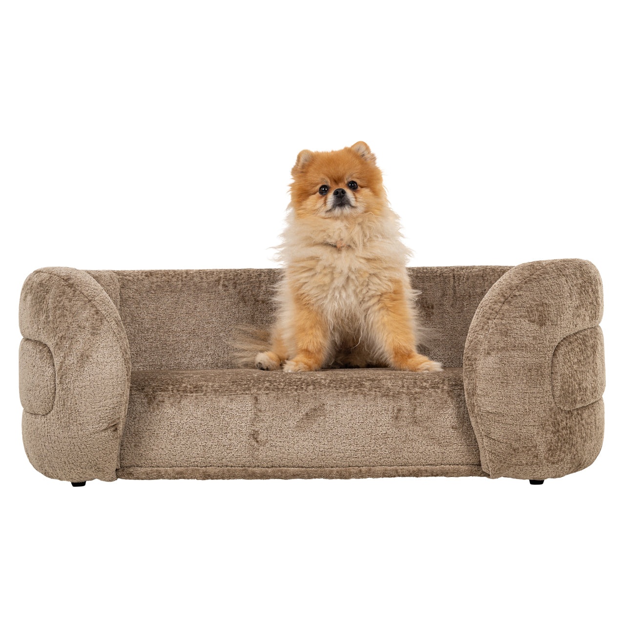 Bingo Luxe Pet Bed in Chenille Fabric