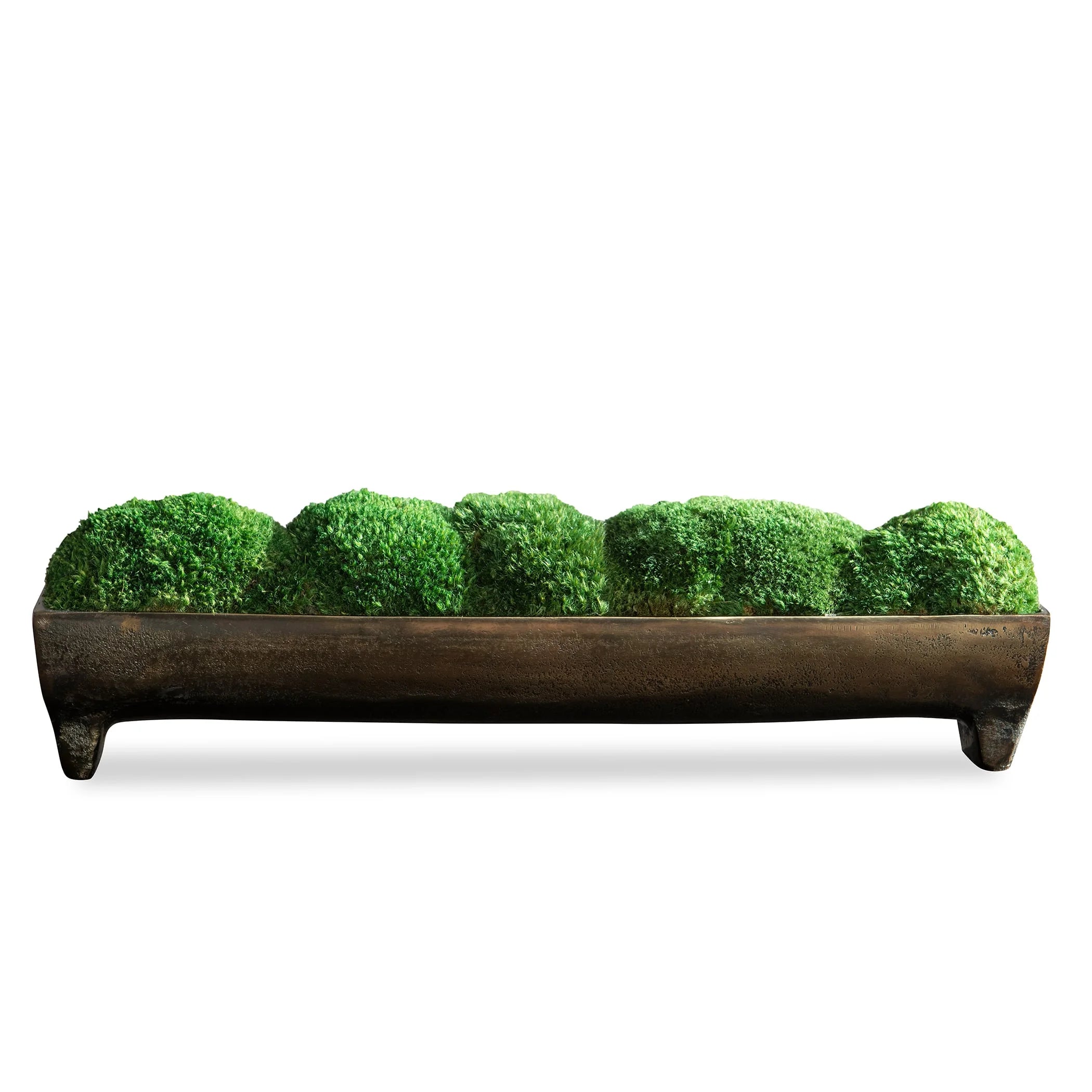 Canal_Moss_Decorative_Centrepiece