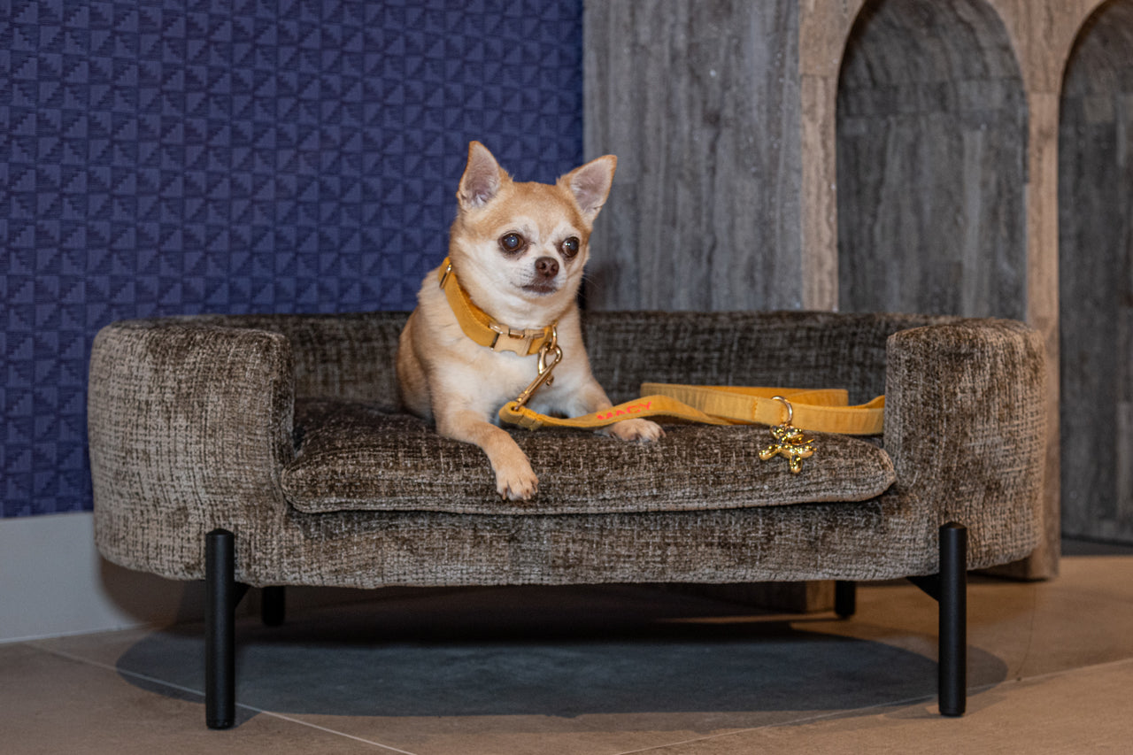 Dolly_Signature_Pet_Bed_in_Upholstered_fabric