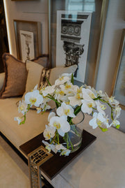 White Phalaenopsis Orchid in Glass Vase