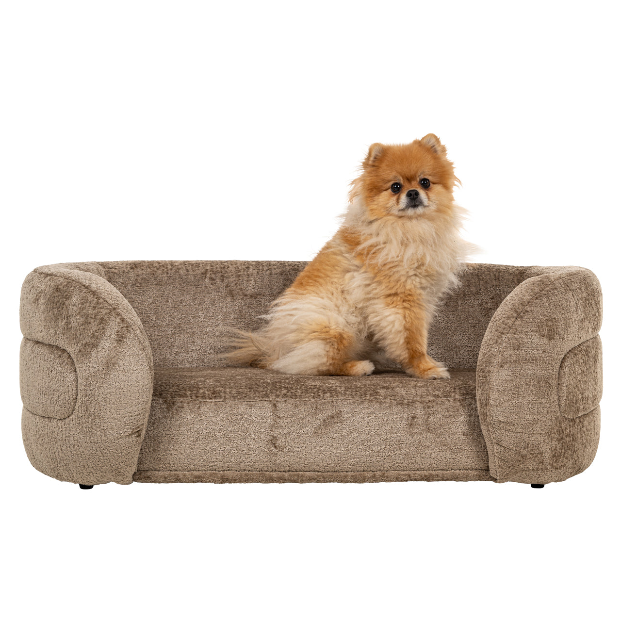 Bingo Luxe Pet Bed in Chenille Fabric
