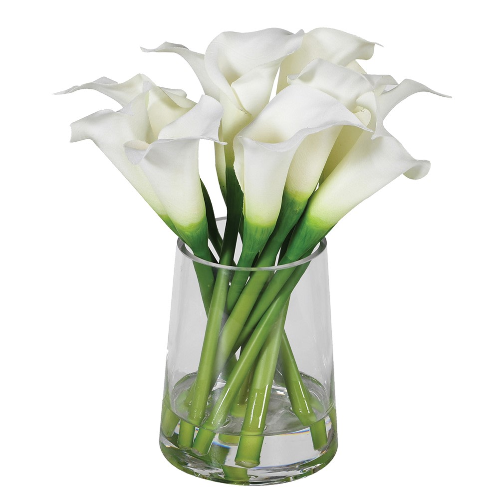 Cala Lilies in Vase