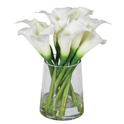 Cala Lilies in Vase
