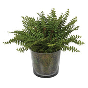 Artificial fern indoor plant