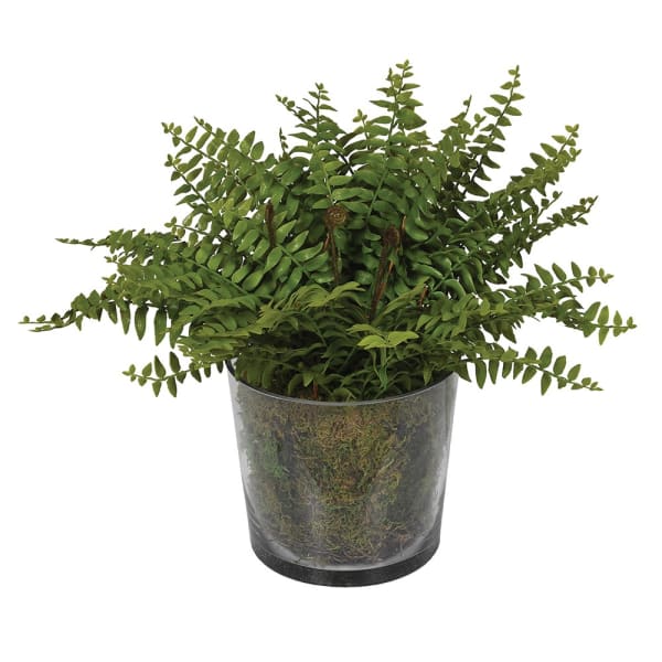 Artificial fern indoor plant