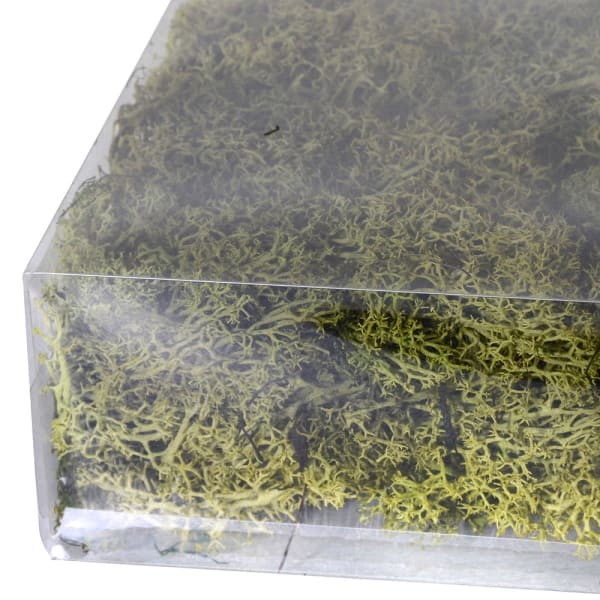 Artificial Decorative Moss