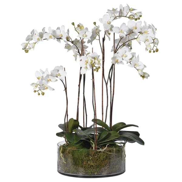 white faux orchid plant